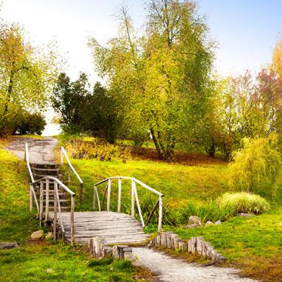 欧意在线登录-登录入口截图